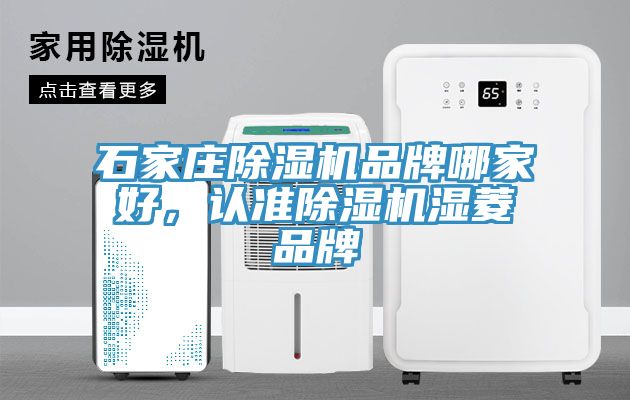 石家莊除濕機品牌哪家好，認準除濕機濕菱品牌