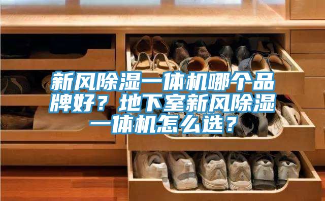 新風除濕一體機哪個品牌好？地下室新風除濕一體機怎么選？