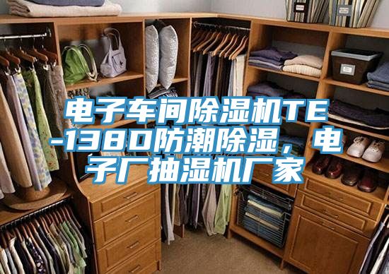 電子車間除濕機TE-138D防潮除濕，電子廠抽濕機廠家