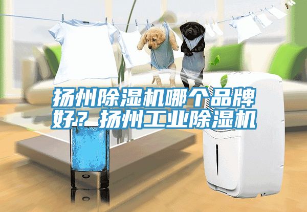 揚州除濕機哪個品牌好？揚州工業(yè)除濕機