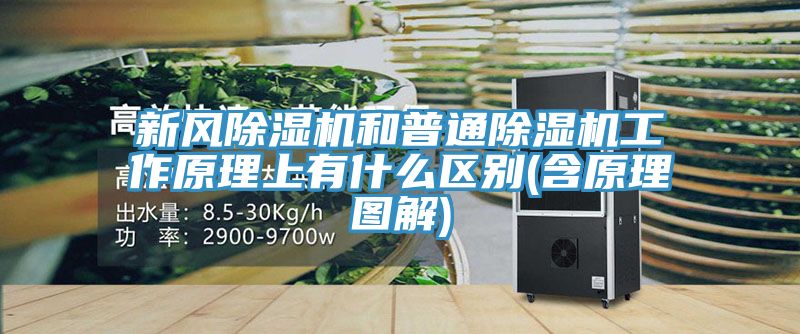 新風除濕機和普通除濕機工作原理上有什么區別(含原理圖解)