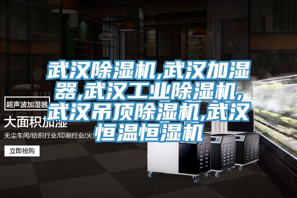 武漢除濕機,武漢加濕器,武漢工業除濕機,武漢吊頂除濕機,武漢恒溫恒濕機