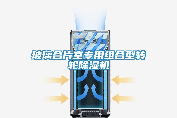 玻璃合片室專用組合型轉(zhuǎn)輪除濕機