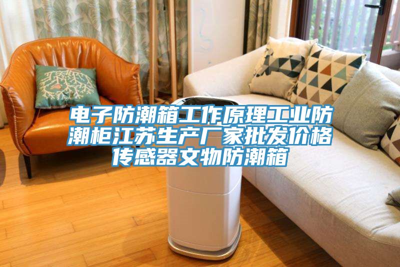 電子防潮箱工作原理工業防潮柜江蘇生產廠家批發價格傳感器文物防潮箱