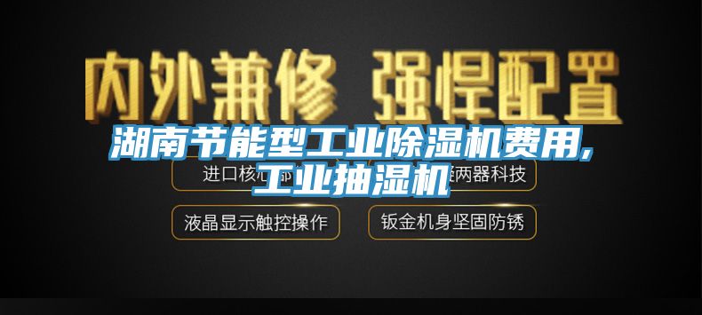 湖南節能型工業除濕機費用,工業抽濕機