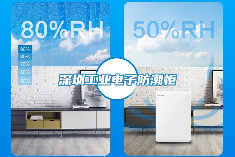 深圳工業電子防潮柜