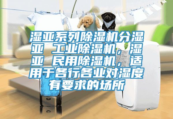 濕亞系列除濕機分濕亞 工業除濕機，濕亞 民用除濕機，適用于各行各業對濕度有要求的場所