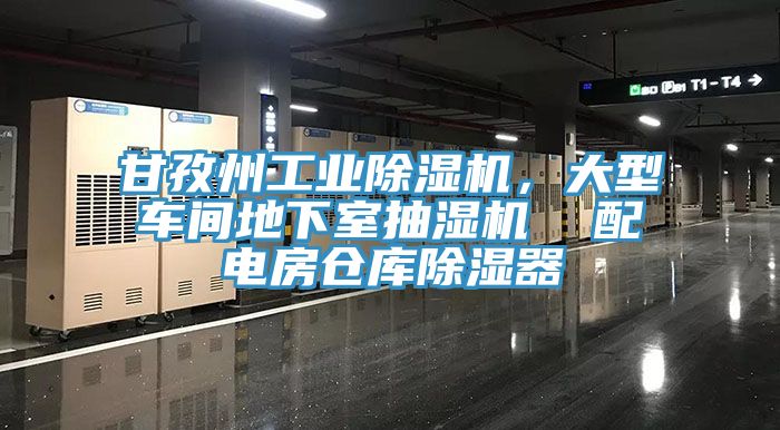 甘孜州工業除濕機，大型車間地下室抽濕機  配電房倉庫除濕器