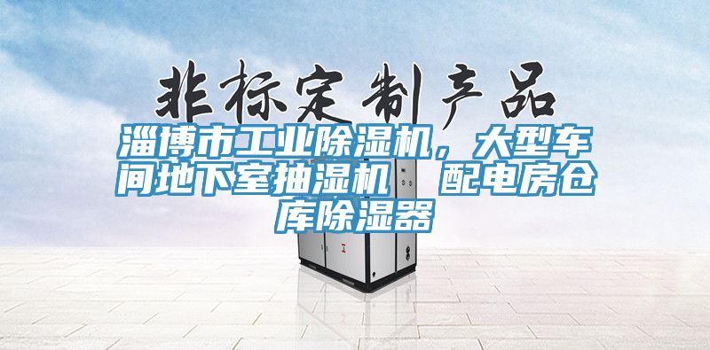 淄博市工業(yè)除濕機(jī)，大型車(chē)間地下室抽濕機(jī)  配電房倉(cāng)庫(kù)除濕器