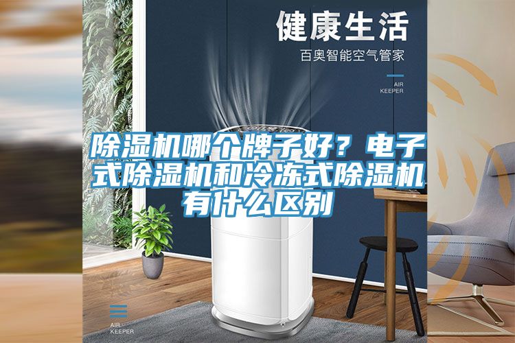 除濕機哪個牌子好？電子式除濕機和冷凍式除濕機有什么區別