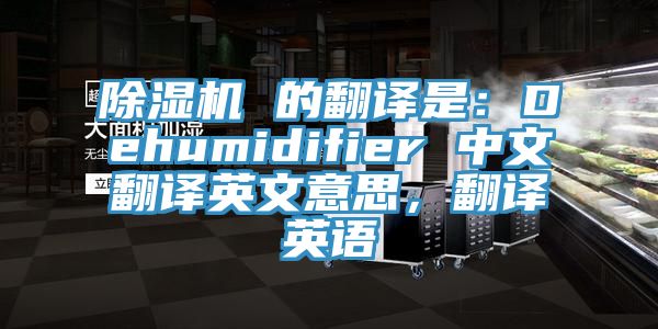 除濕機(jī) 的翻譯是：Dehumidifier 中文翻譯英文意思，翻譯英語