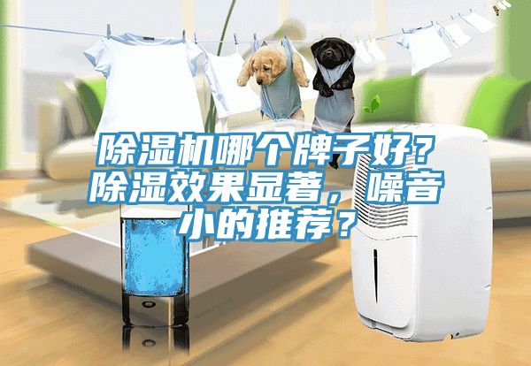 除濕機哪個牌子好？除濕效果顯著，噪音小的推薦？