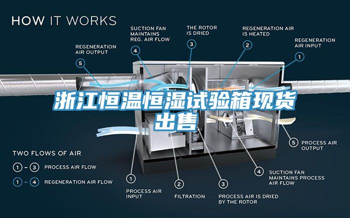 浙江恒溫恒濕試驗箱現貨出售