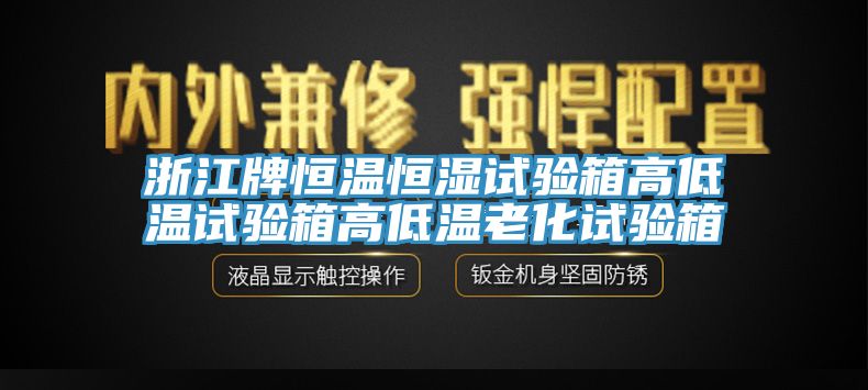 浙江牌恒溫恒濕試驗箱高低溫試驗箱高低溫老化試驗箱