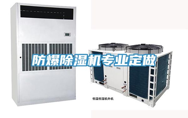 防爆除濕機專業定做