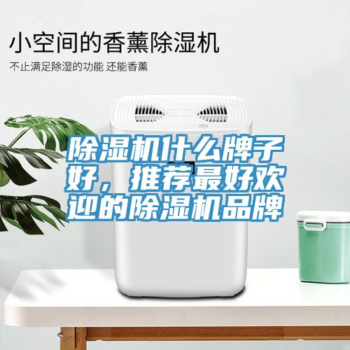 除濕機什么牌子好，推薦最好歡迎的除濕機品牌