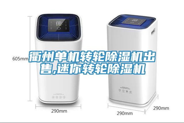 衢州單機轉輪除濕機出售,迷你轉輪除濕機