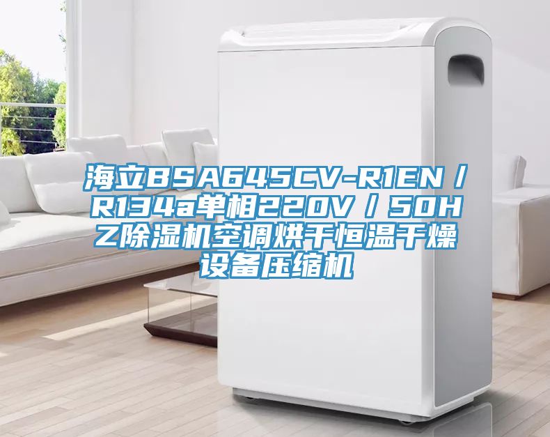 海立BSA645CV-R1EN／R134a單相220V／50HZ除濕機空調烘干恒溫干燥設備壓縮機