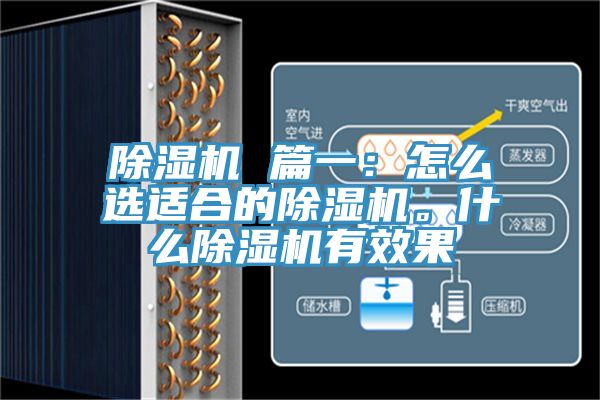 除濕機 篇一：怎么選適合的除濕機。什么除濕機有效果