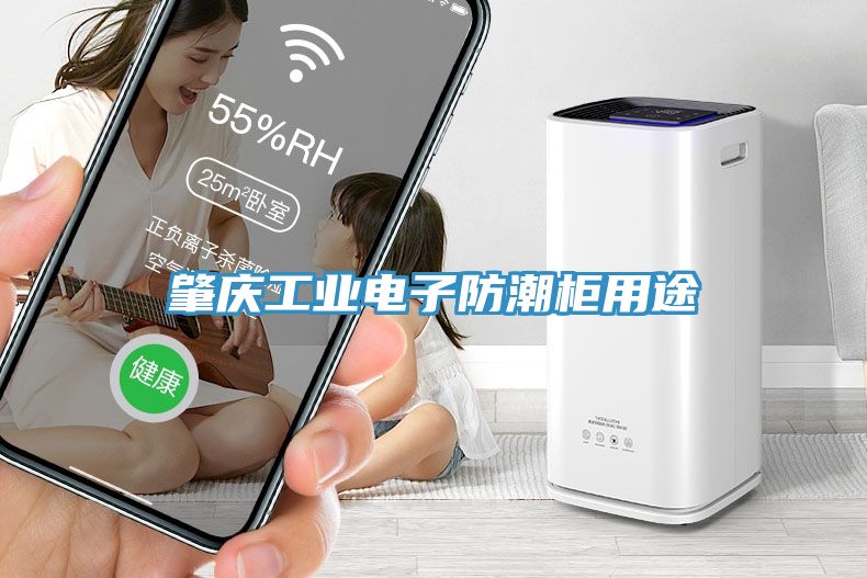 肇慶工業電子防潮柜用途