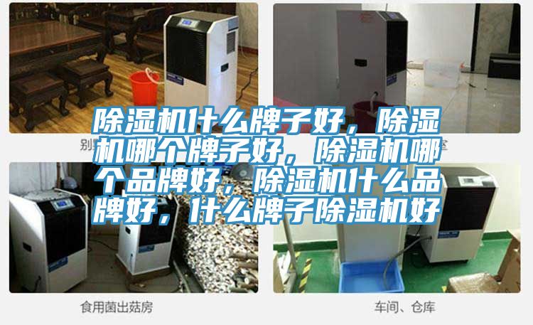 除濕機什么牌子好，除濕機哪個牌子好，除濕機哪個品牌好，除濕機什么品牌好，什么牌子除濕機好