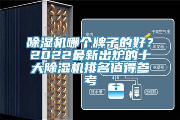 除濕機(jī)哪個牌子的好？2022最新出爐的十大除濕機(jī)排名值得參考