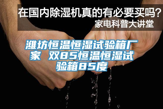 濰坊恒溫恒濕試驗箱廠家 雙85恒溫恒濕試驗箱85度