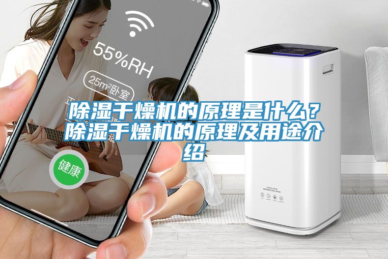 除濕干燥機的原理是什么？除濕干燥機的原理及用途介紹