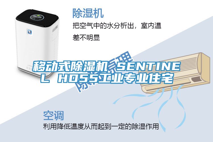 移動(dòng)式除濕機(jī) SENTINEL HD55工業(yè)專業(yè)住宅