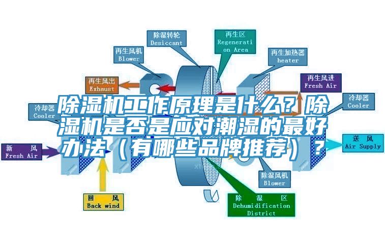 除濕機工作原理是什么？除濕機是否是應對潮濕的最好辦法（有哪些品牌推薦）？