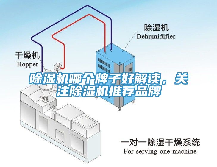 除濕機哪個牌子好解讀，關注除濕機推薦品牌