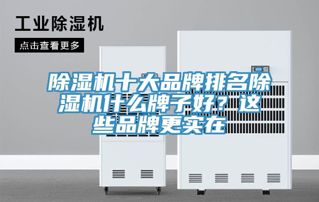 除濕機十大品牌排名除濕機什么牌子好？這些品牌更實在