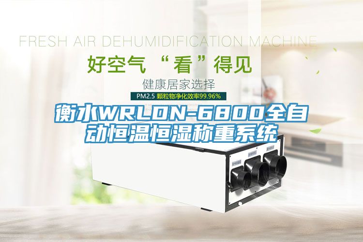 衡水WRLDN-6800全自動恒溫恒濕稱重系統