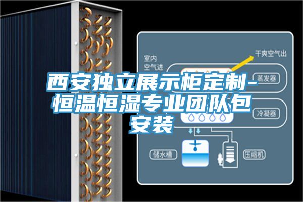 西安獨立展示柜定制-恒溫恒濕專業團隊包安裝