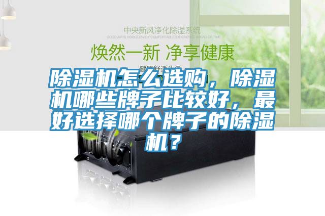 除濕機怎么選購，除濕機哪些牌子比較好，最好選擇哪個牌子的除濕機？