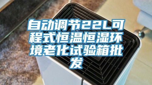 自動調節22L可程式恒溫恒濕環境老化試驗箱批發