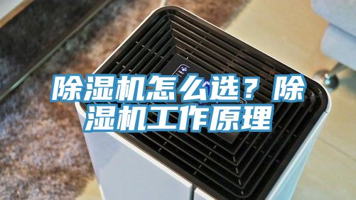 除濕機怎么選？除濕機工作原理