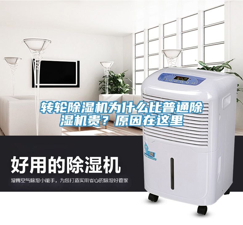 轉輪除濕機為什么比普通除濕機貴？原因在這里