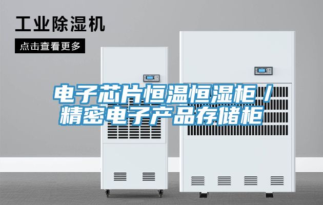 電子芯片恒溫恒濕柜／精密電子產品存儲柜