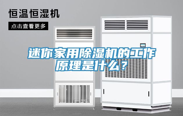 迷你家用除濕機的工作原理是什么？