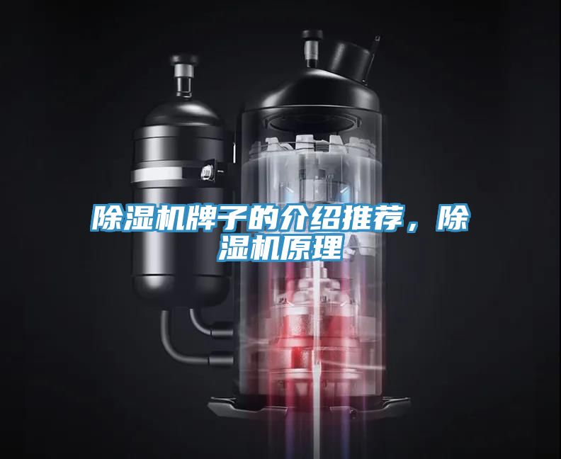 除濕機牌子的介紹推薦，除濕機原理