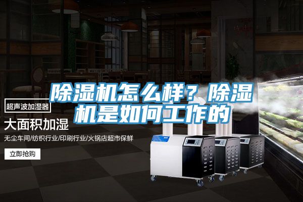 除濕機怎么樣？除濕機是如何工作的