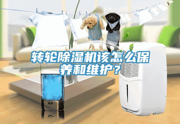 轉輪除濕機該怎么保養和維護？