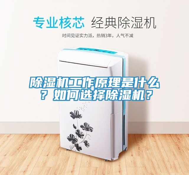 除濕機工作原理是什么？如何選擇除濕機？