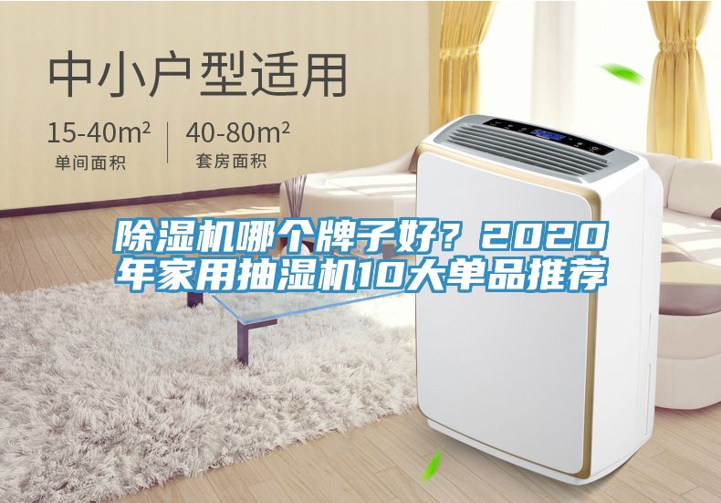 除濕機哪個牌子好？2020年家用抽濕機10大單品推薦