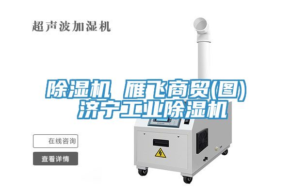 除濕機 雁飛商貿(圖) 濟寧工業除濕機