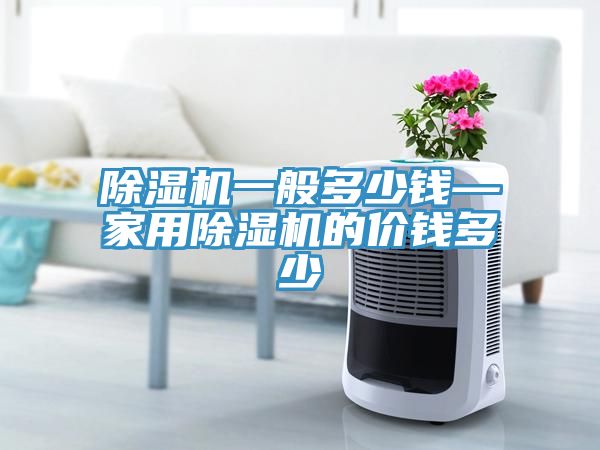 除濕機一般多少錢—家用除濕機的價錢多少