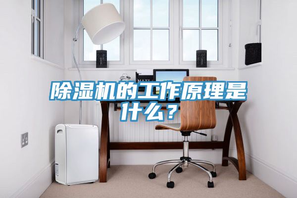 除濕機的工作原理是什么？