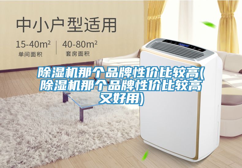 除濕機那個品牌性價比較高(除濕機那個品牌性價比較高又好用)