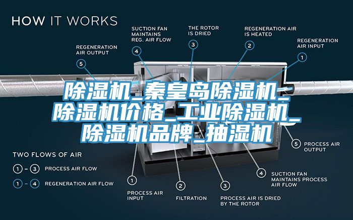 除濕機_秦皇島除濕機_除濕機價格_工業除濕機_除濕機品牌_抽濕機